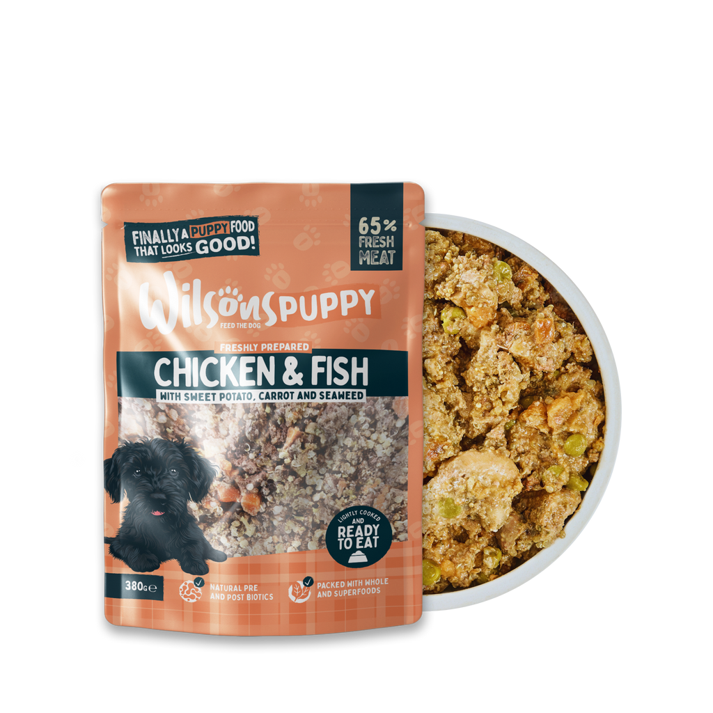 Puppy Chicken and Fish Fresh Dog Food