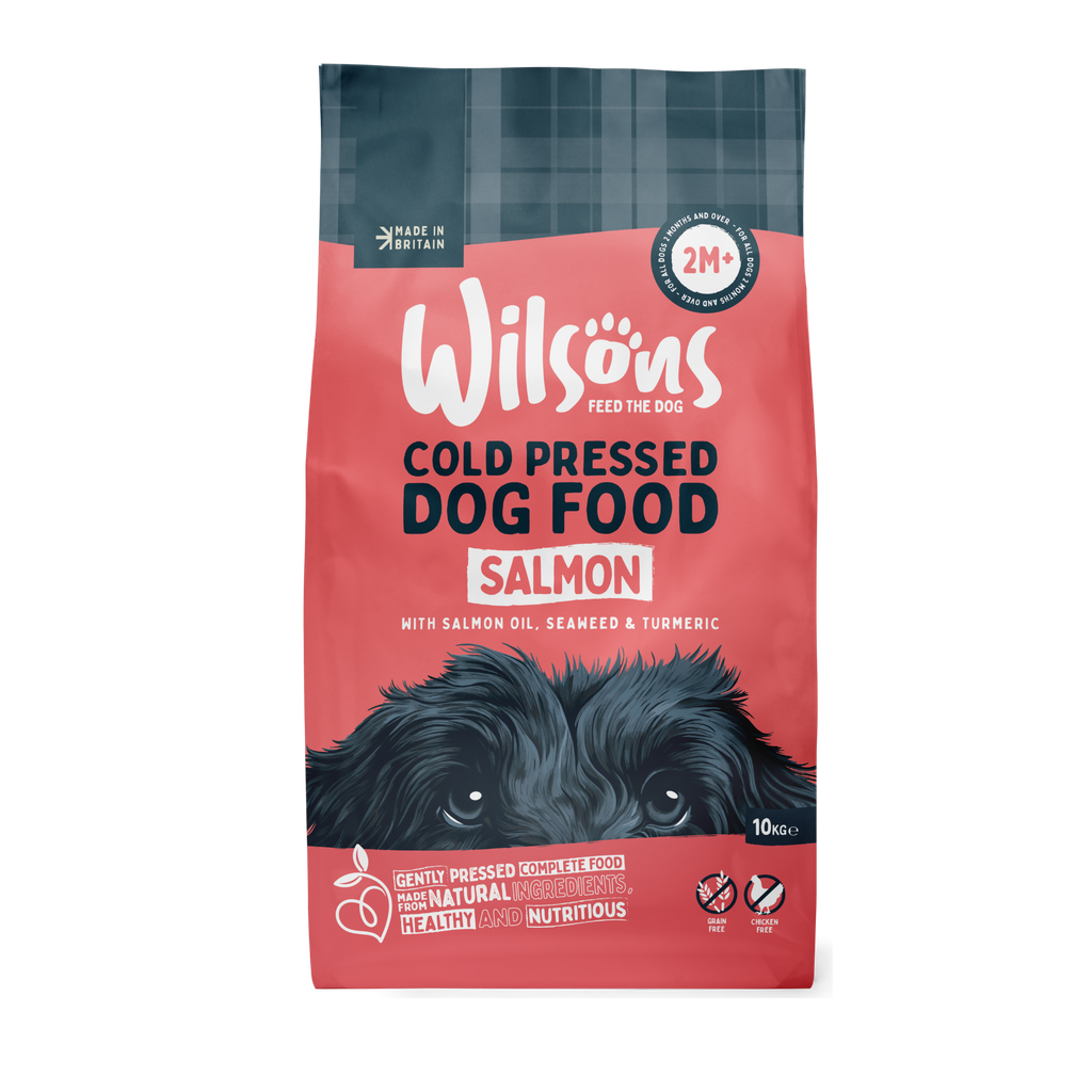 Salmon Premium British Cold Pressed Dog Food