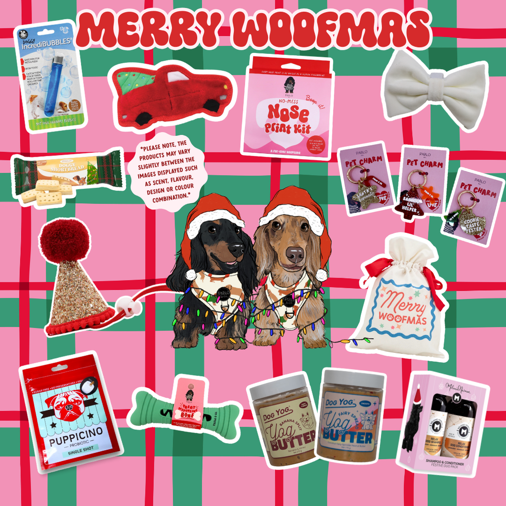 12 days of Woofmas Advent Calendar Box