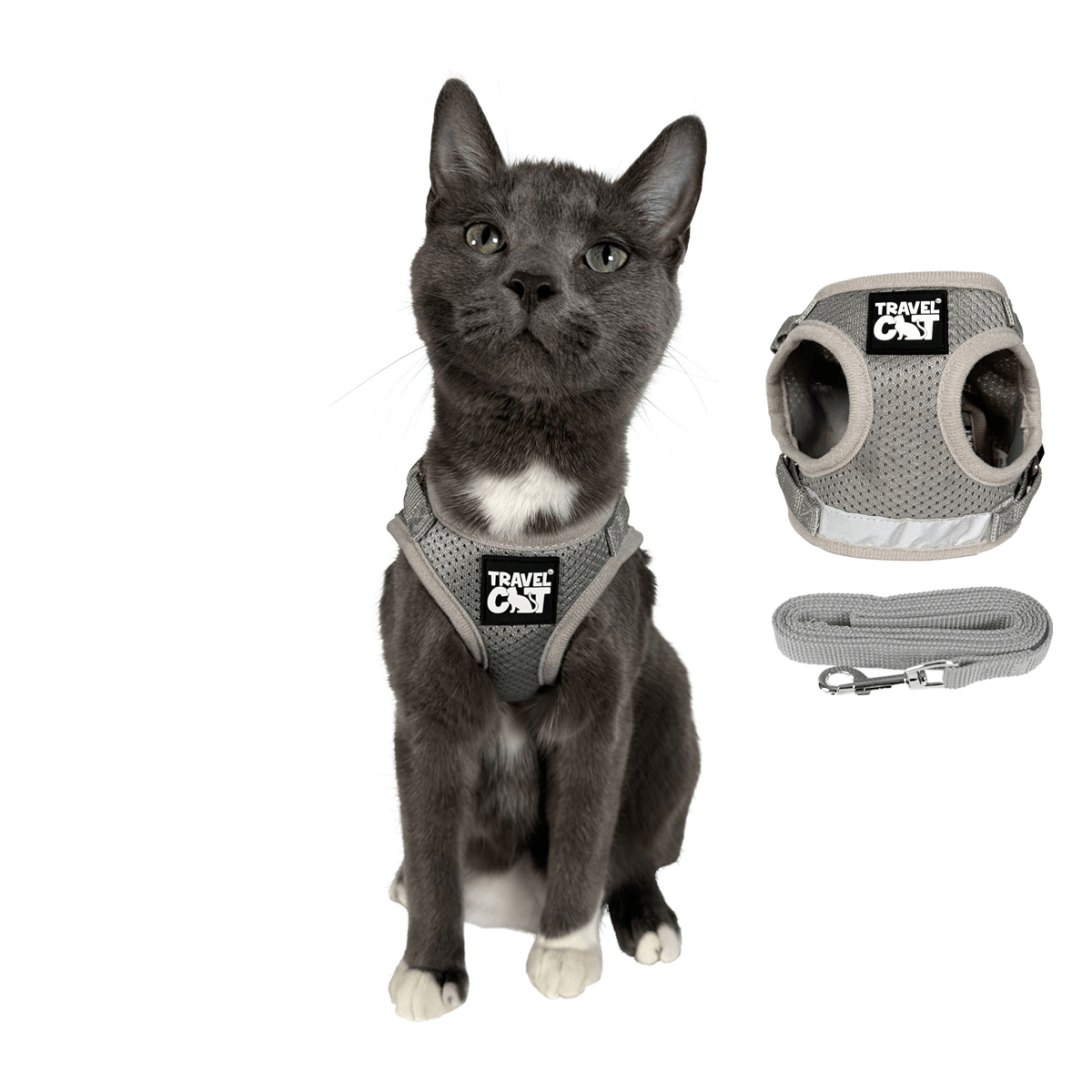 The Adventure Cat Essential Bundle: Cat Backpack. Harness. Leash. and Travel Bowl