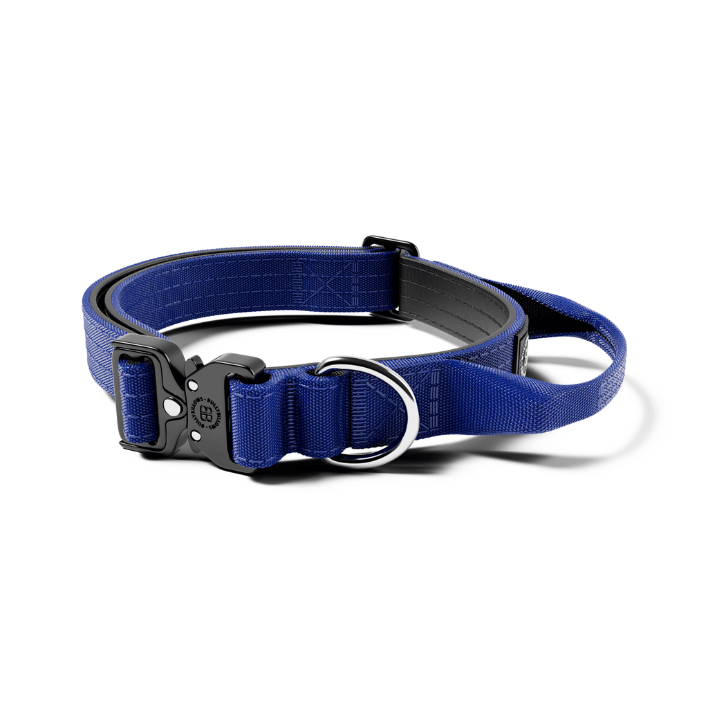 2.5cm Combat® Collar | With Handle & Rated Clip - Blue