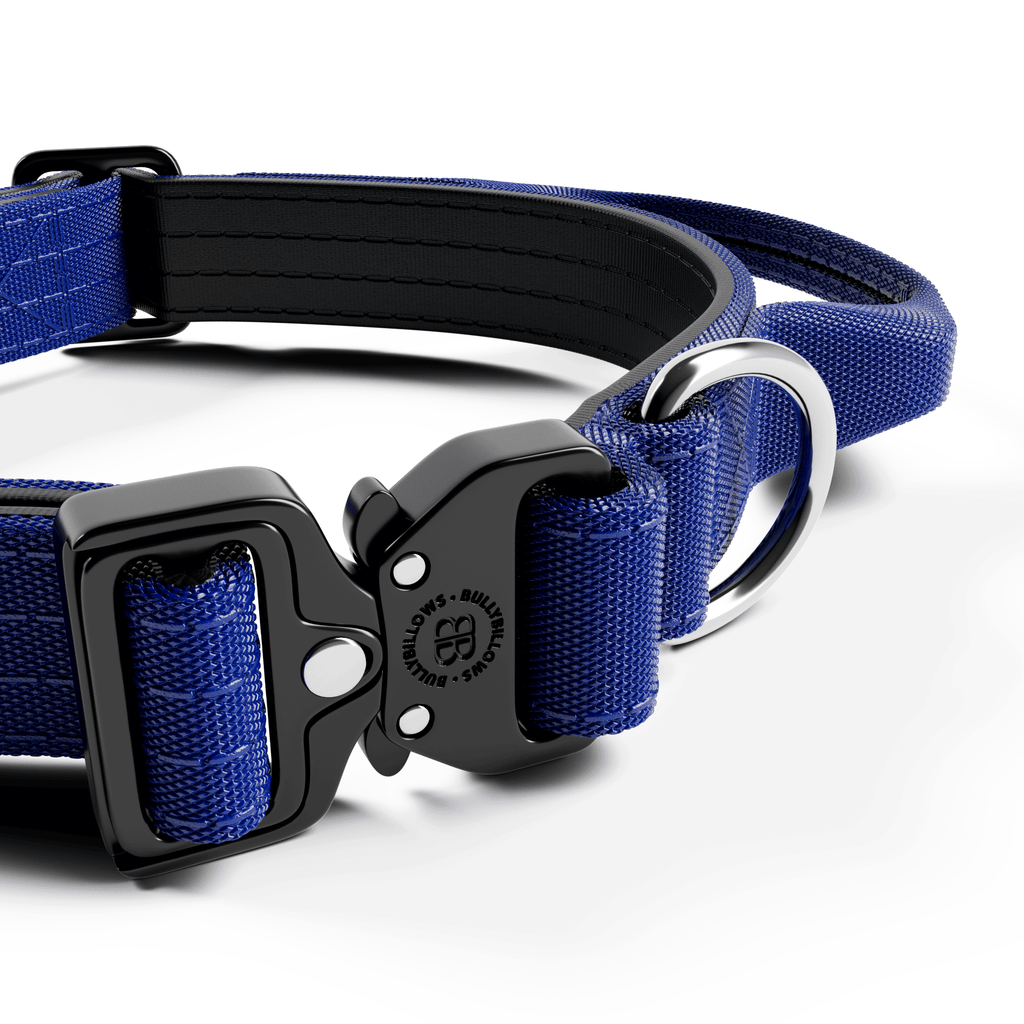 2.5cm Combat® Collar | With Handle & Rated Clip - Blue