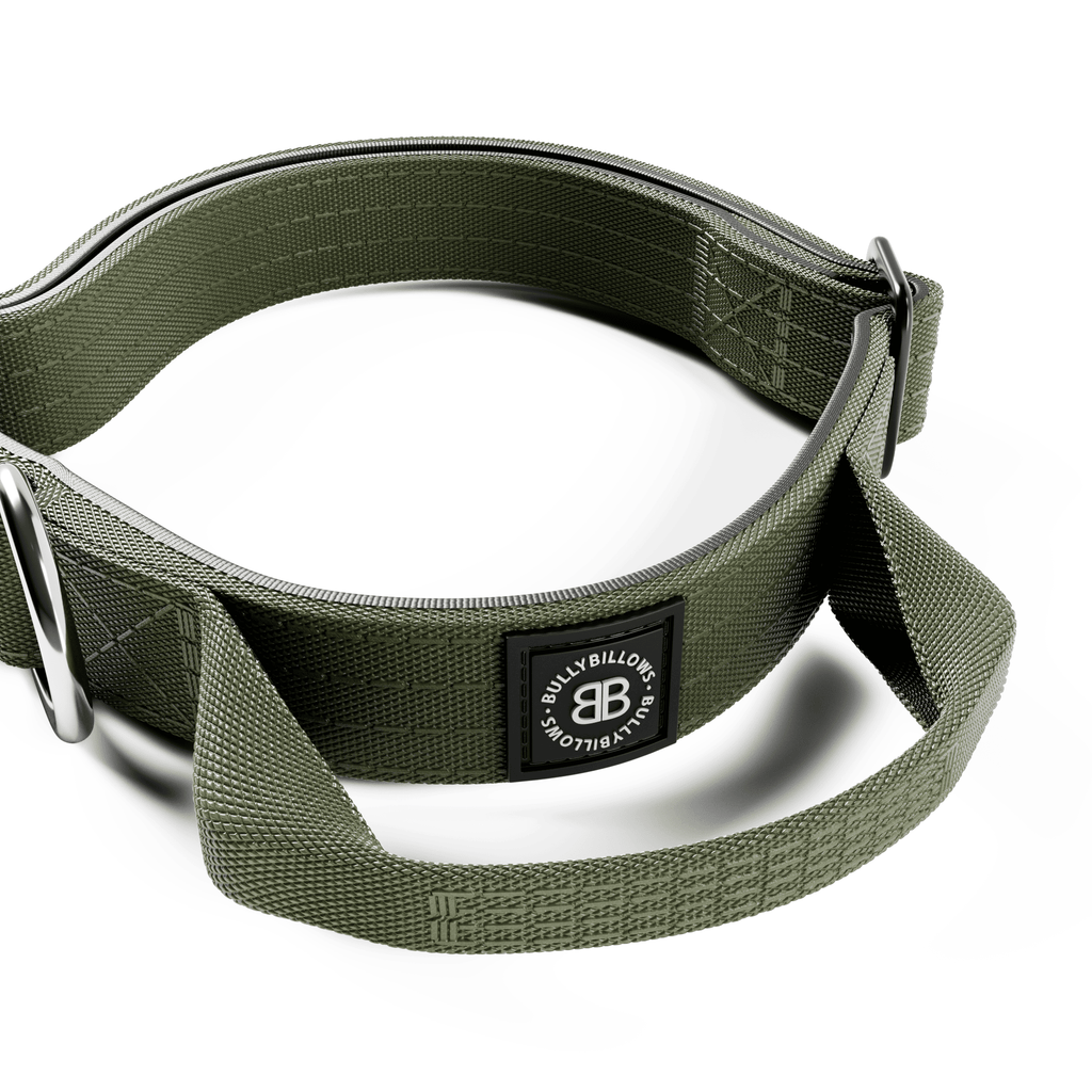 2.5cm Combat® Collar | With Handle & Rated Clip - Khaki