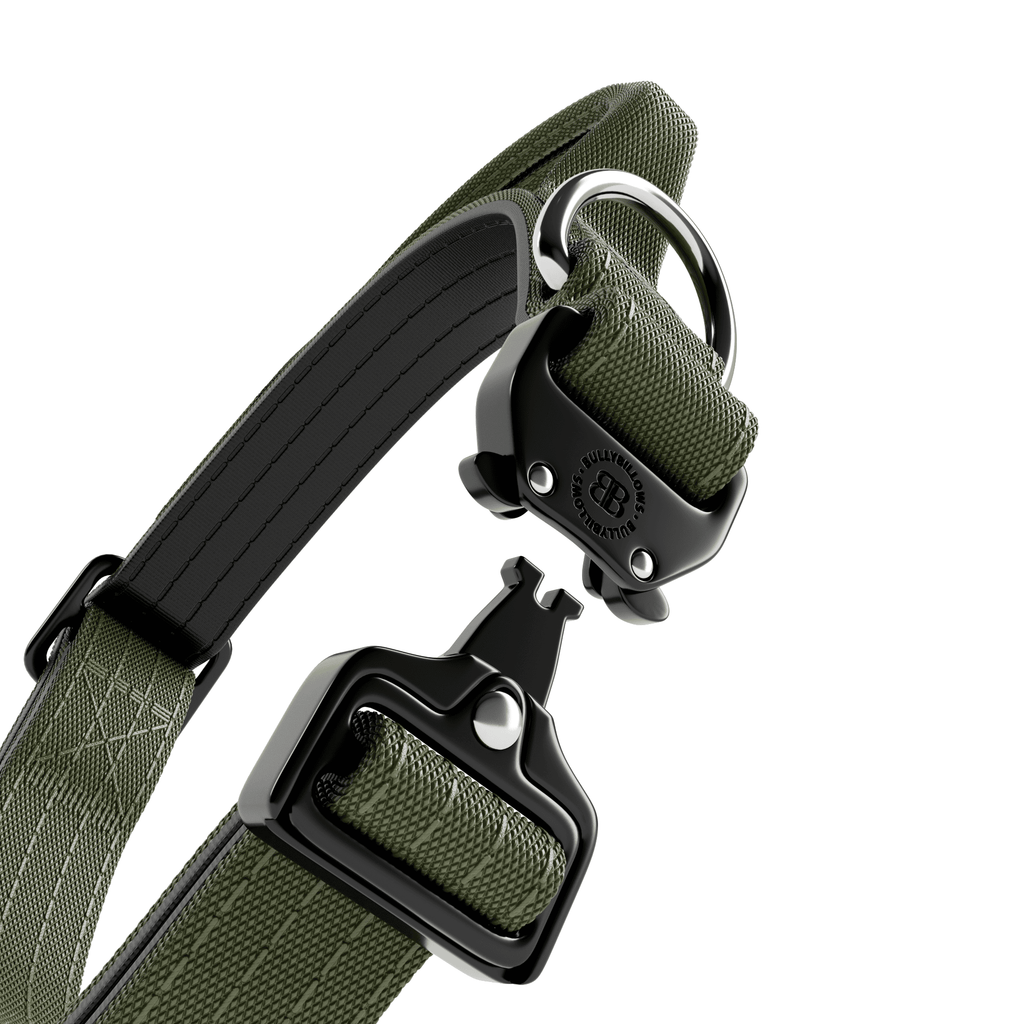2.5cm Combat® Collar | With Handle & Rated Clip - Khaki