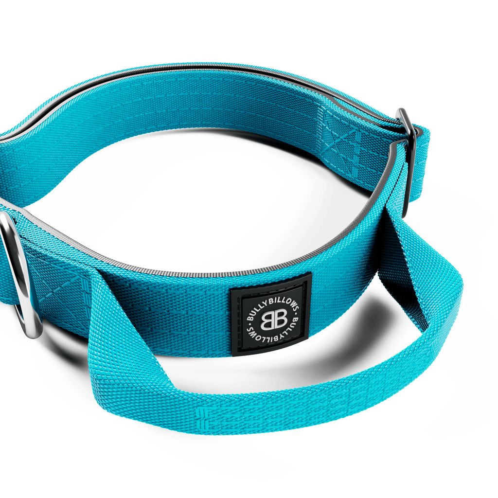 2.5cm Combat® Collar | With Handle & Rated Clip - Light Blue