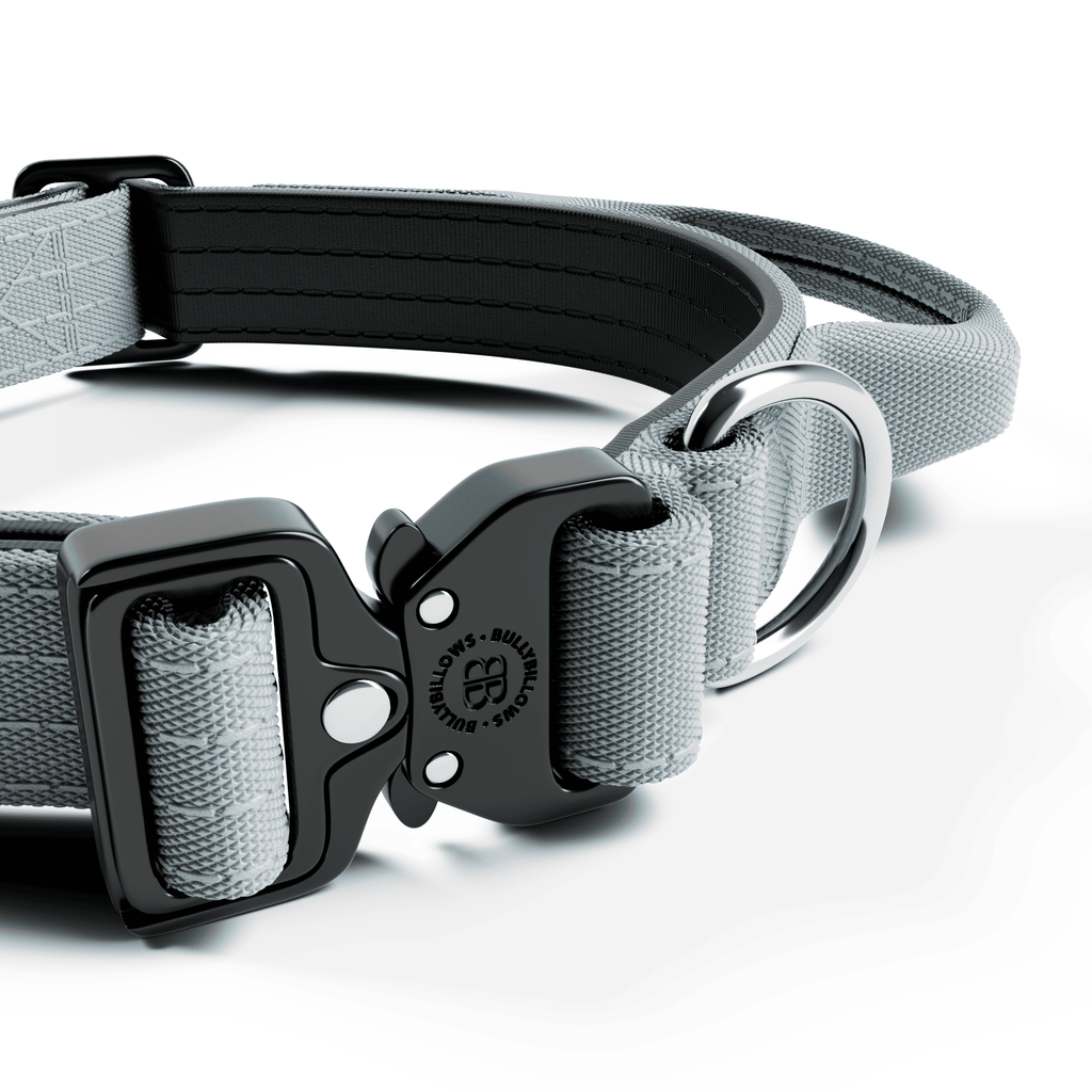 2.5cm Combat® Collar | With Handle & Rated Clip - Metal Grey