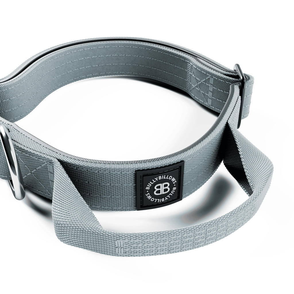 2.5cm Combat® Collar | With Handle & Rated Clip - Metal Grey