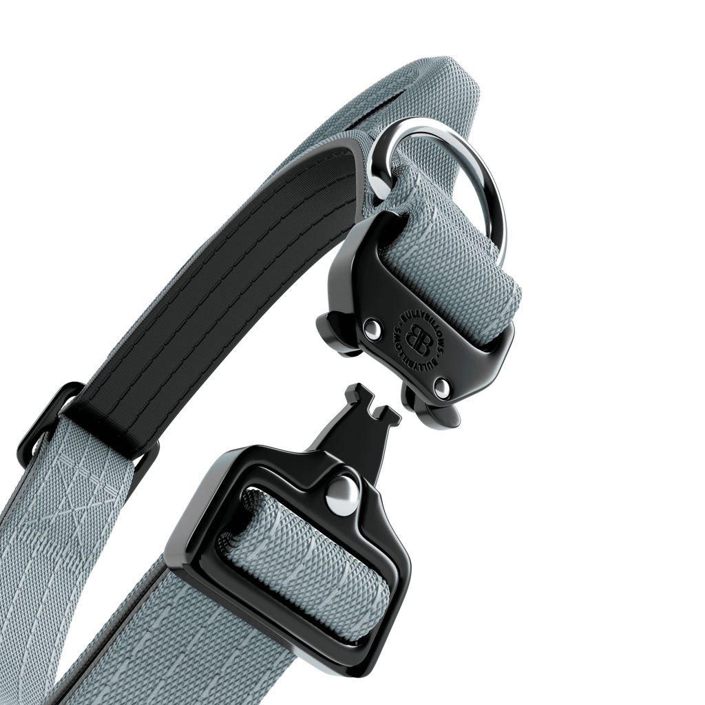 2.5cm Combat® Collar | With Handle & Rated Clip - Metal Grey
