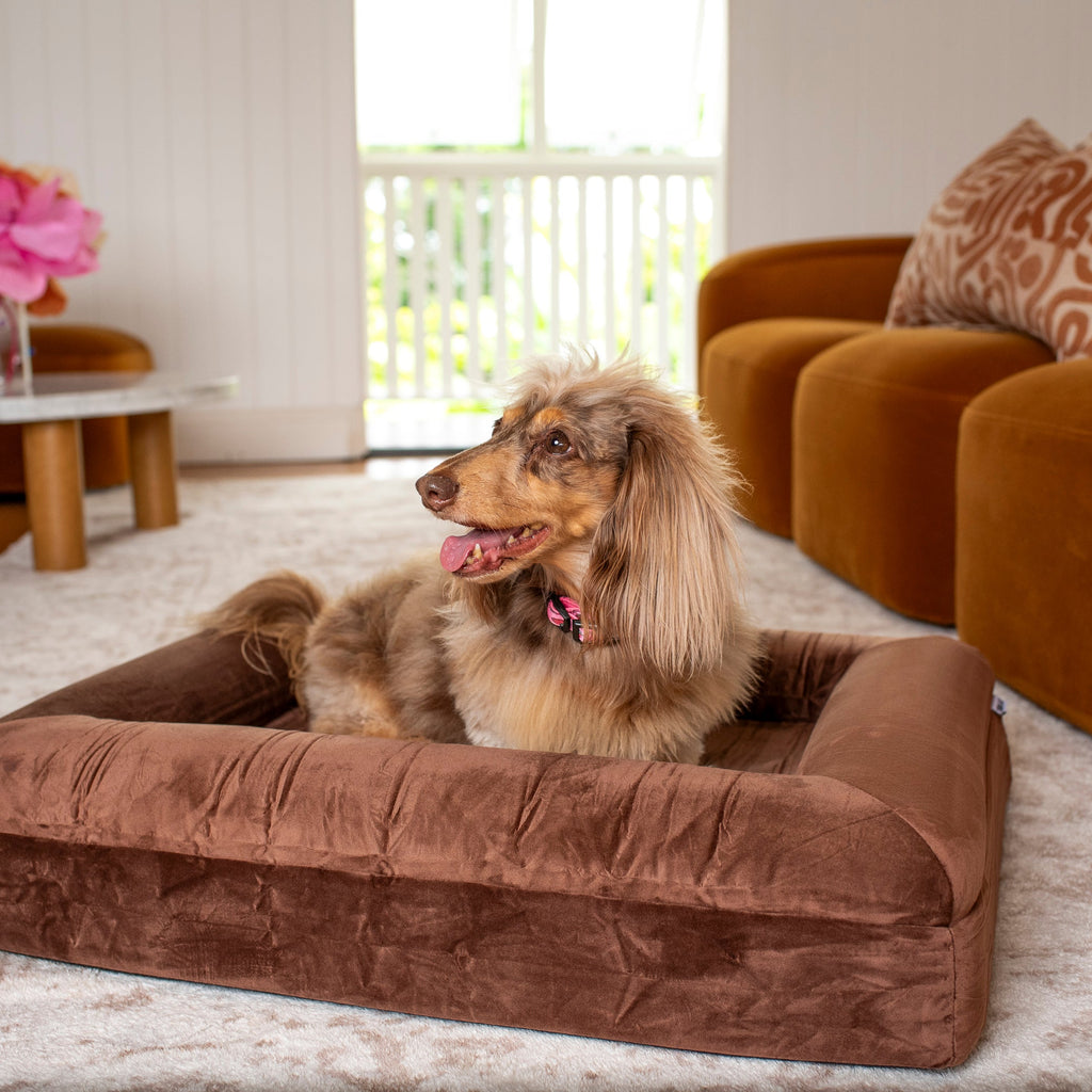 Orthopedic Memory Foam Velvet Dog Bed: Dark Chocolate