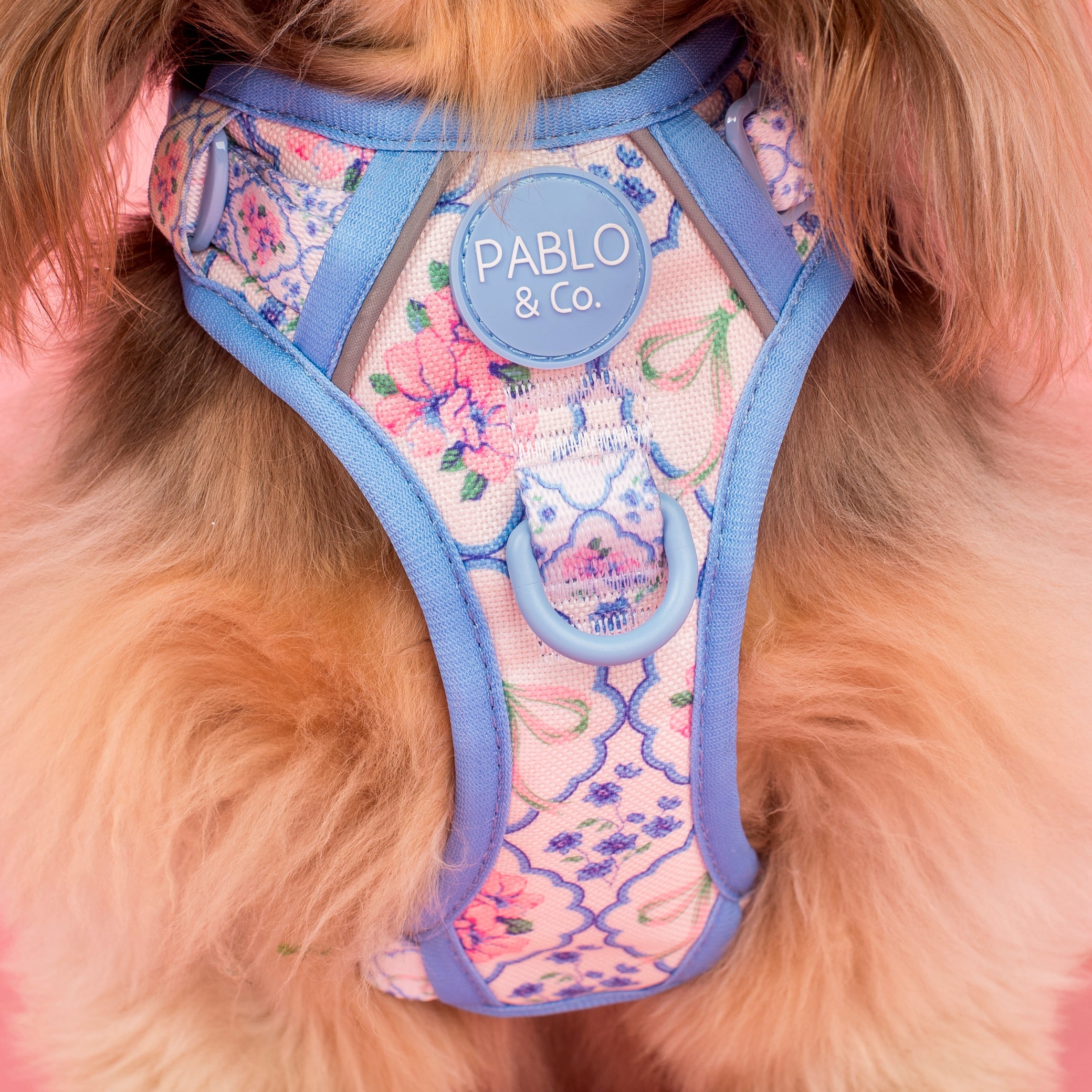 Petal: No Pull Adventure Harness