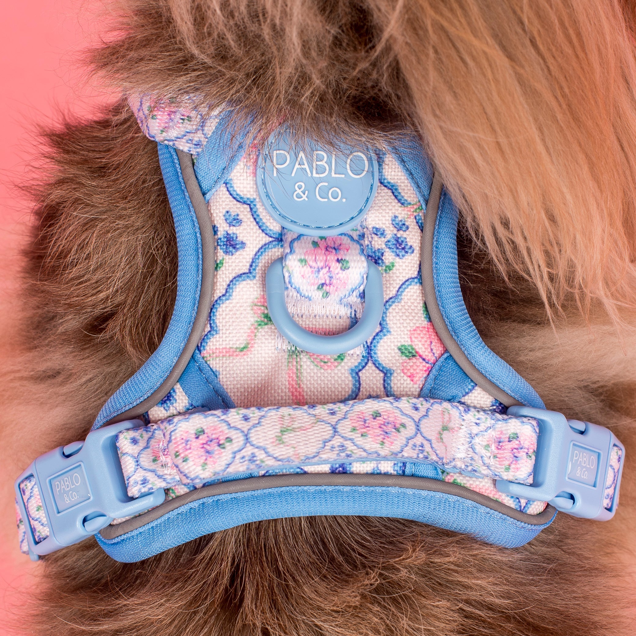 Petal: No Pull Adventure Harness