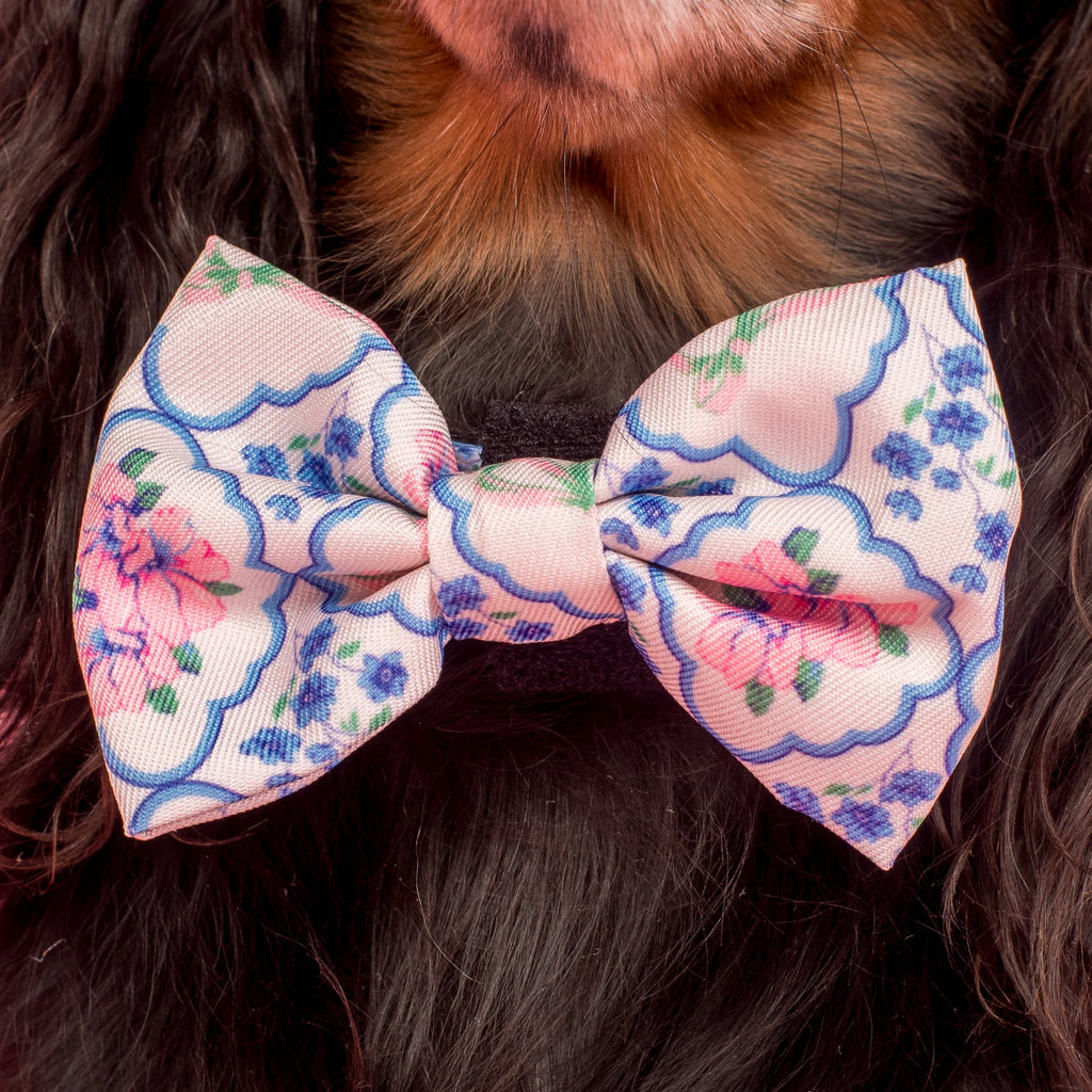Petal: Bow Tie