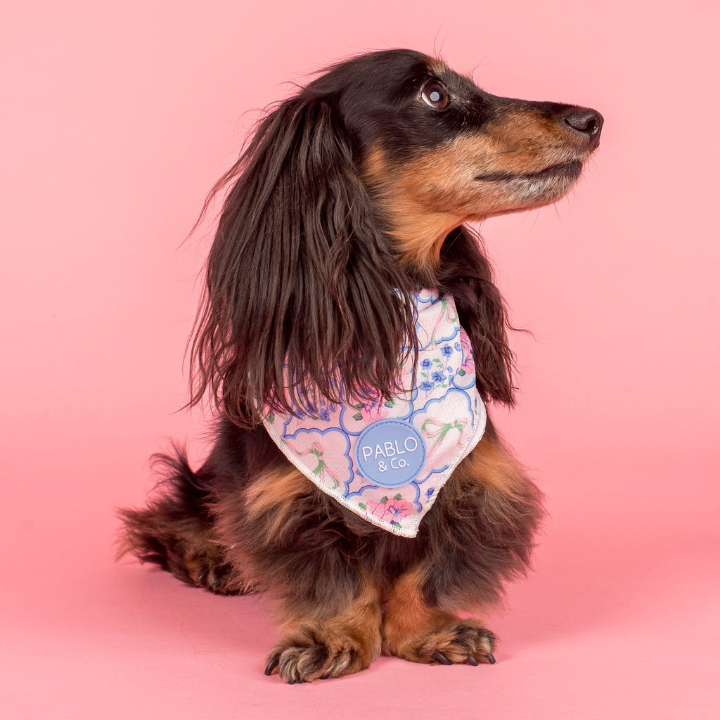 Petal: Dog Bandana