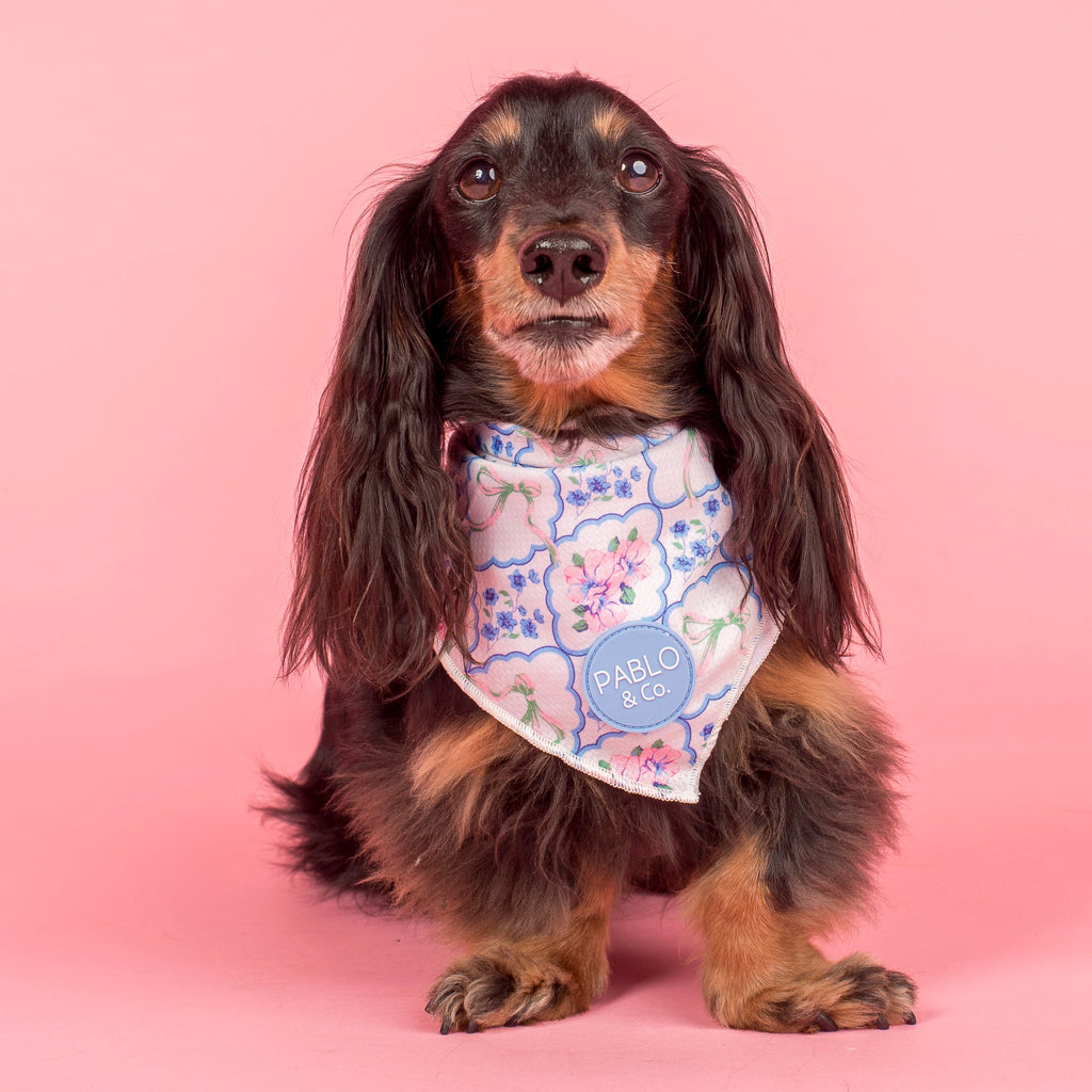 Petal: Dog Bandana