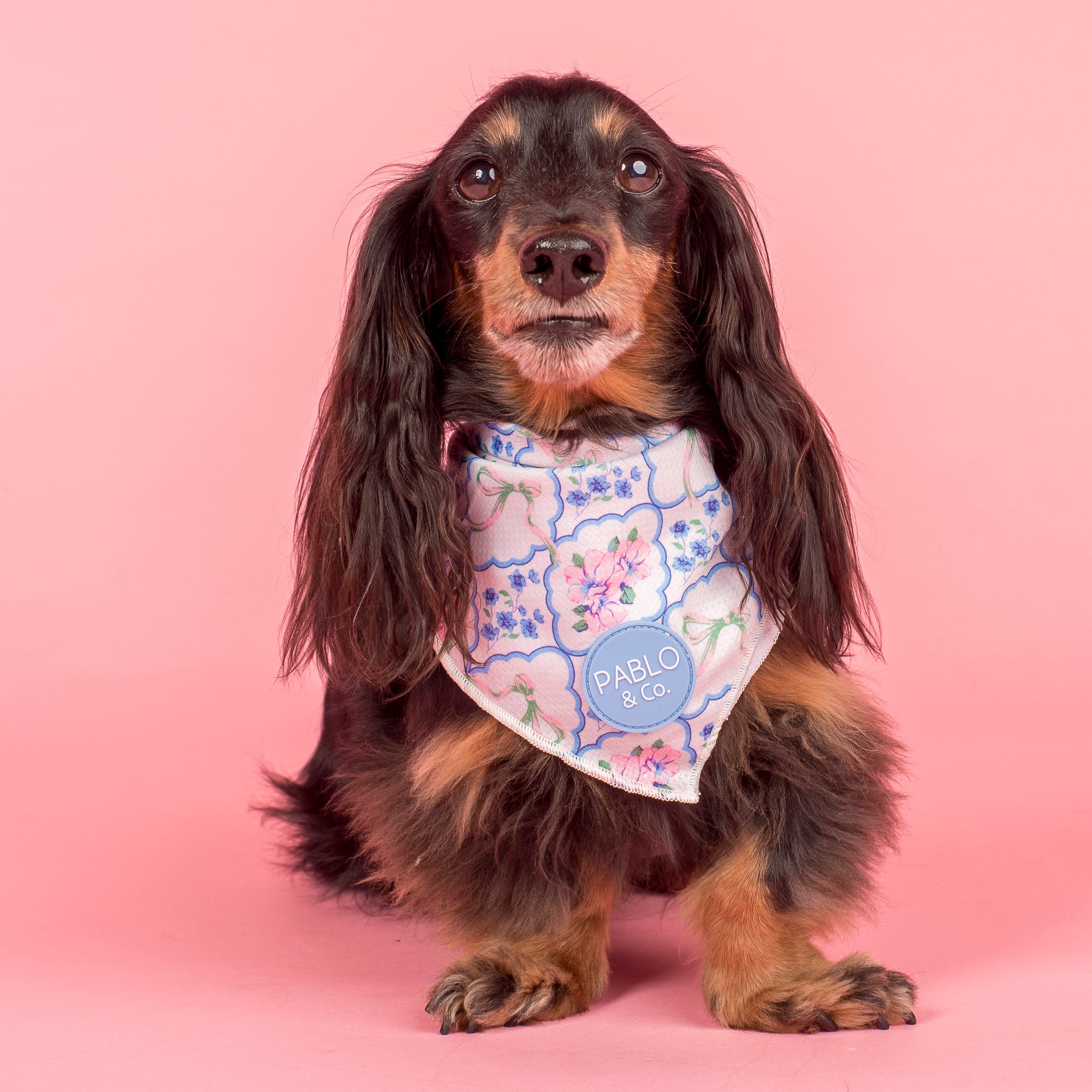 Petal: Dog Bandana