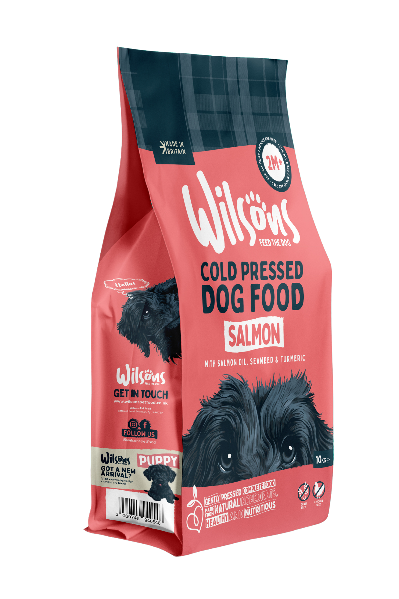 Salmon Premium British Cold Pressed Dog Food