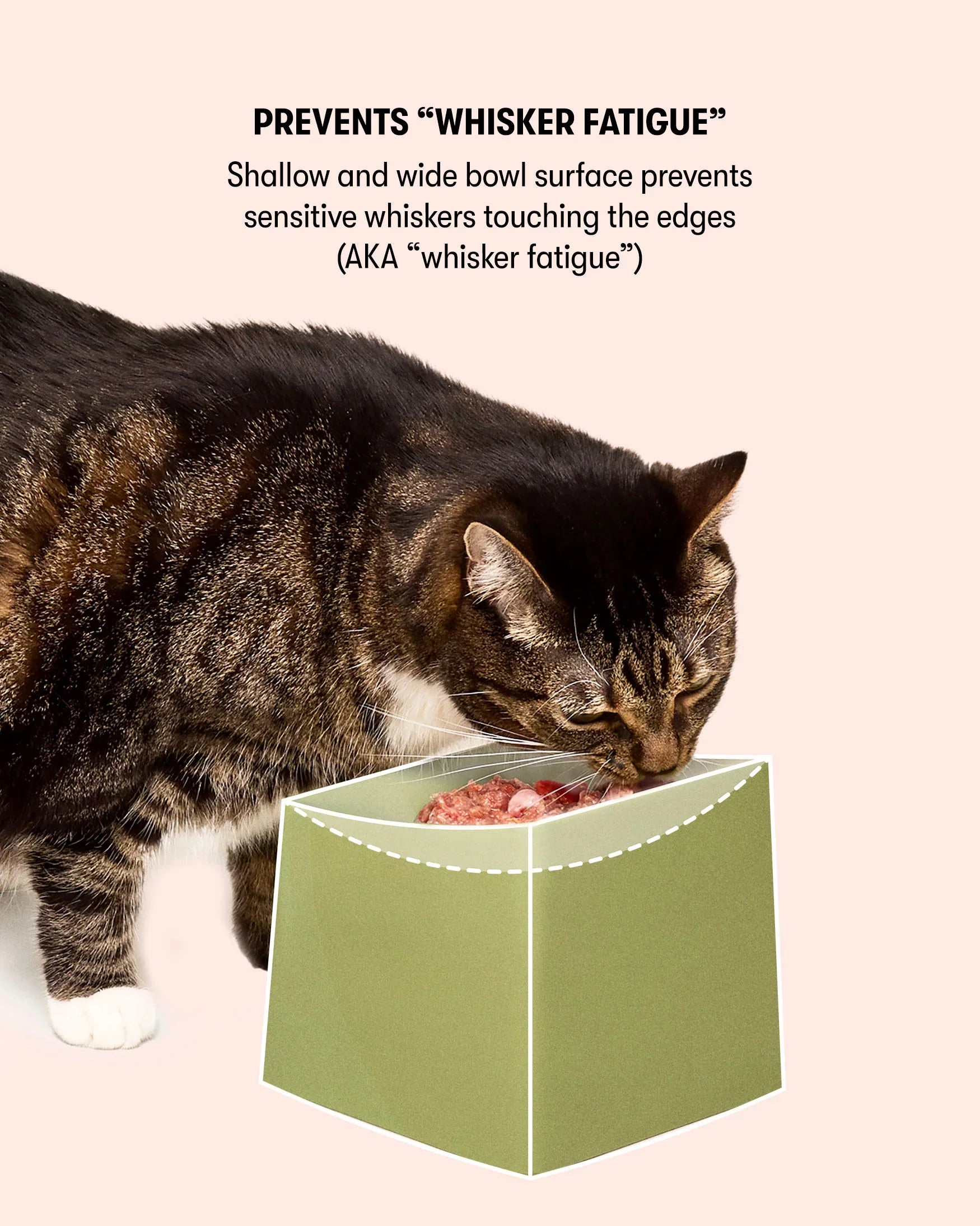 CAT Corner Bowl Set -  Blush