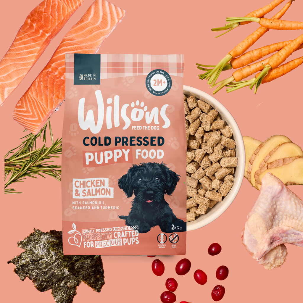Puppy Premium British Cold Pressed Dog Food