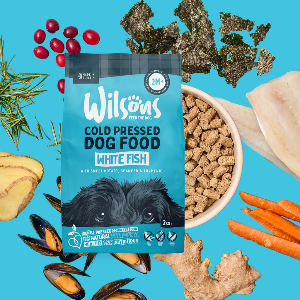 White Fish Premium Cold Pressed Dog Food