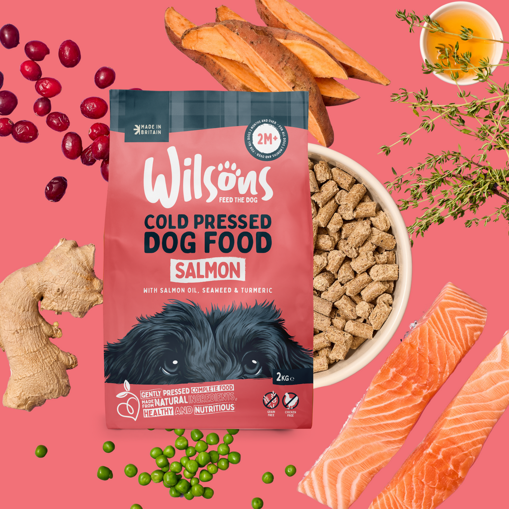 Salmon Premium British Cold Pressed Dog Food