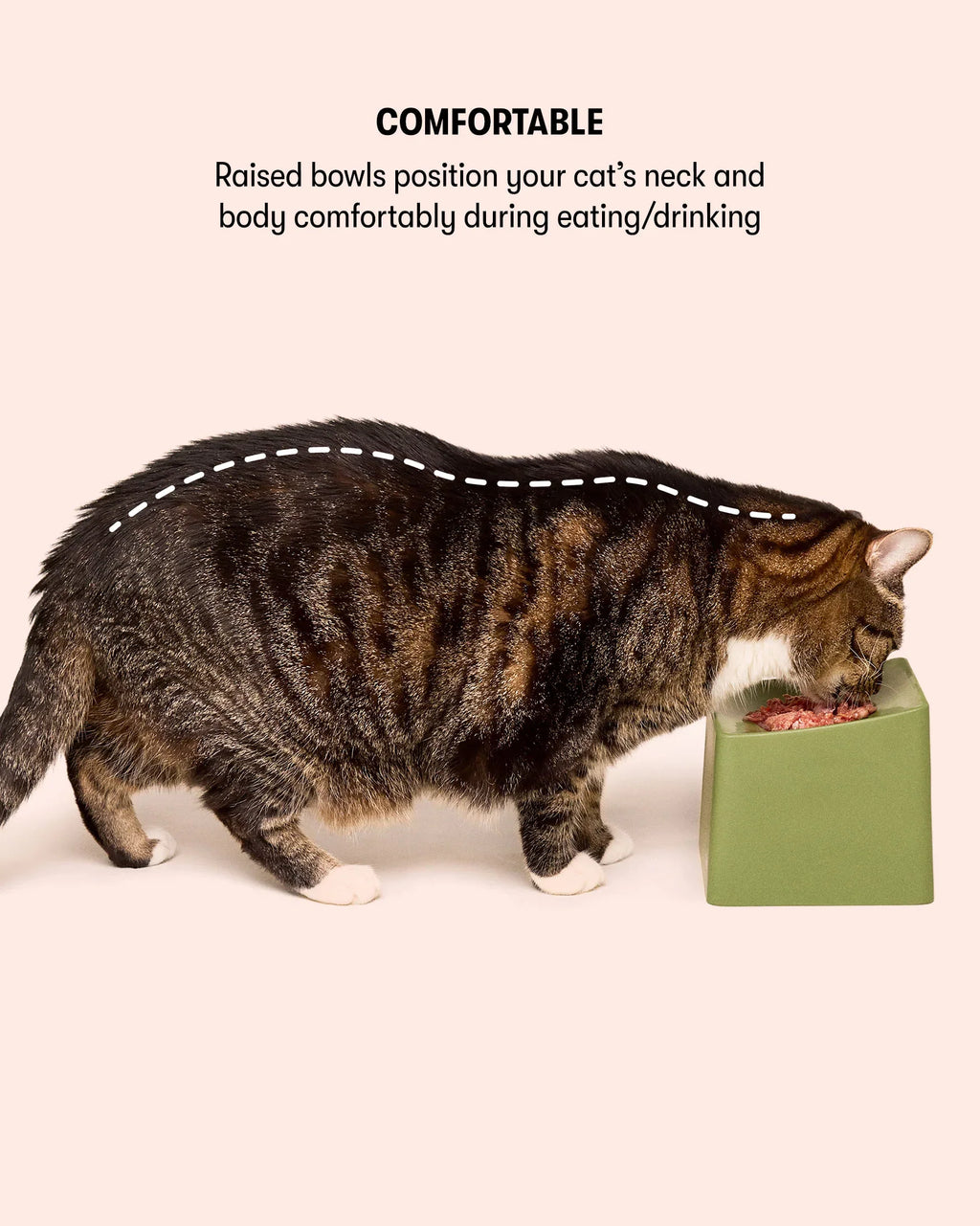 CAT Corner Bowl Set -  Ecru