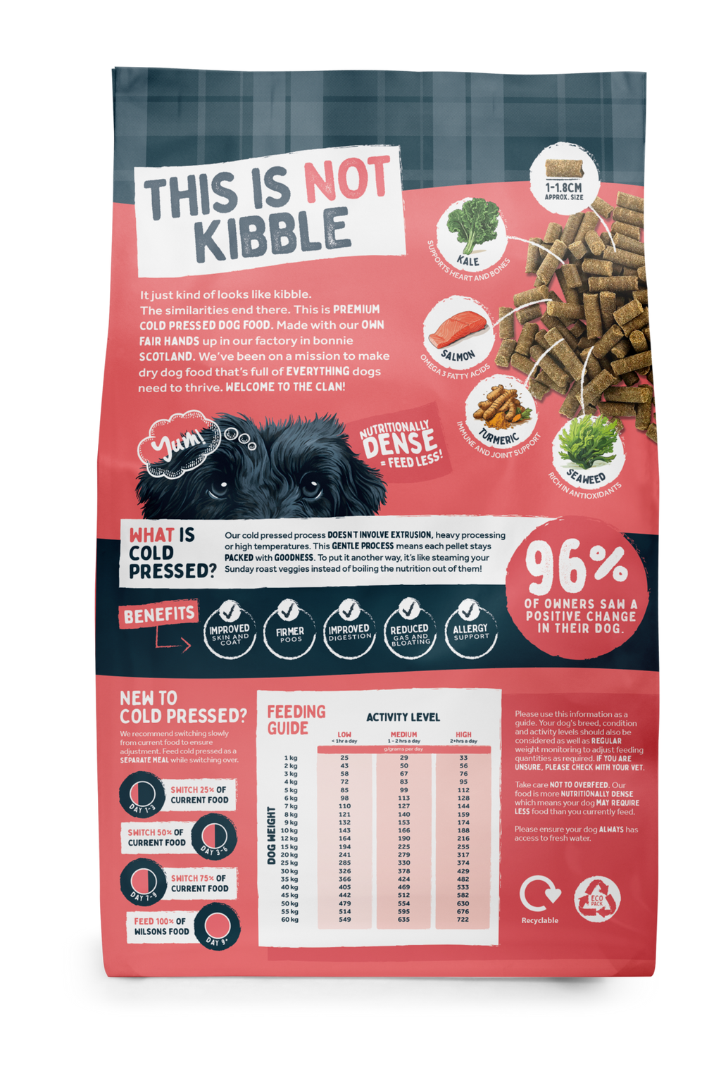 Salmon Premium British Cold Pressed Dog Food