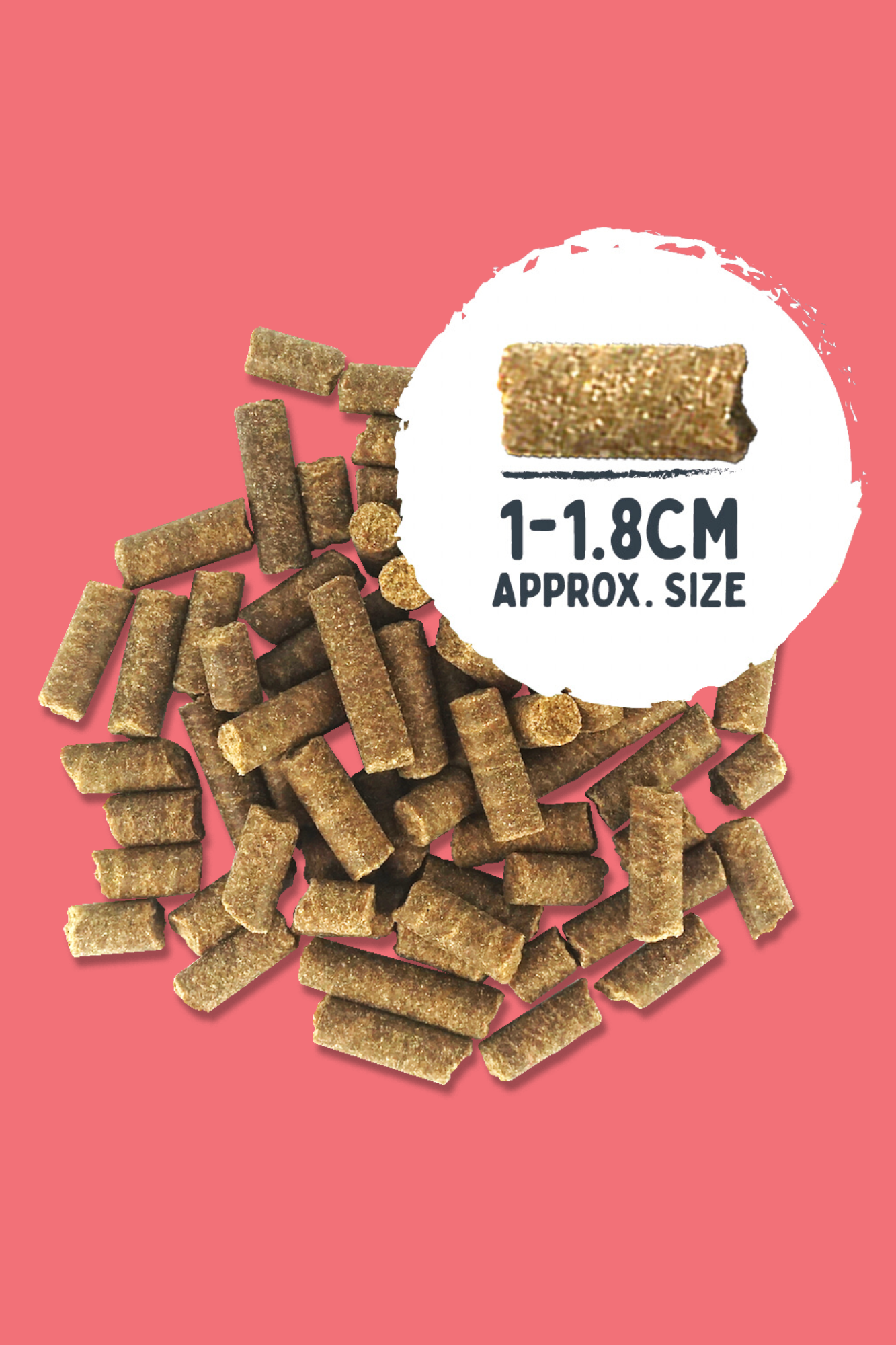 Salmon Premium British Cold Pressed Dog Food