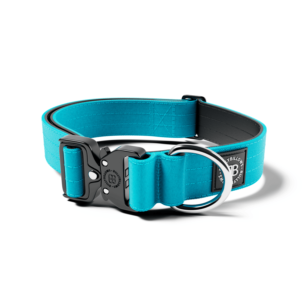 4cm Combat® Collar | Rated Clip - NO HANDLE - Light Blue