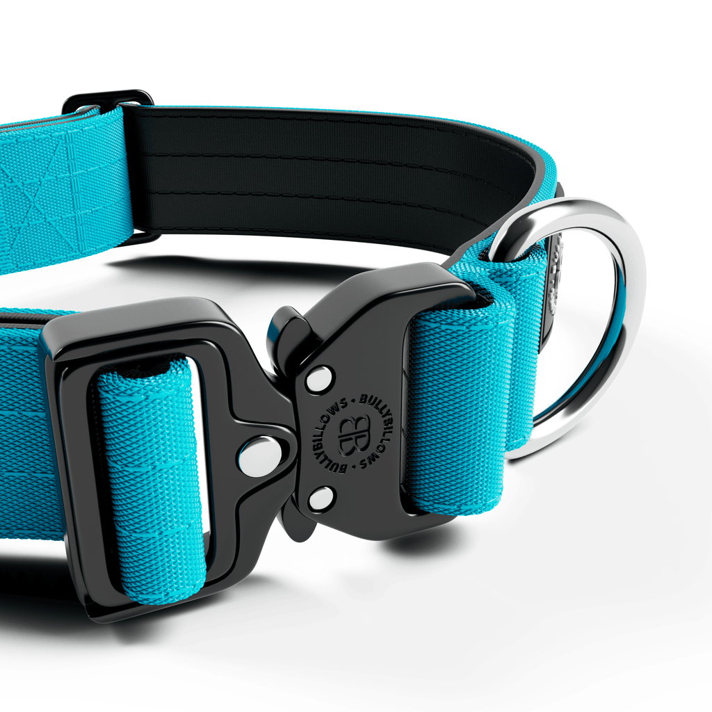 4cm Combat® Collar | Rated Clip - NO HANDLE - Light Blue