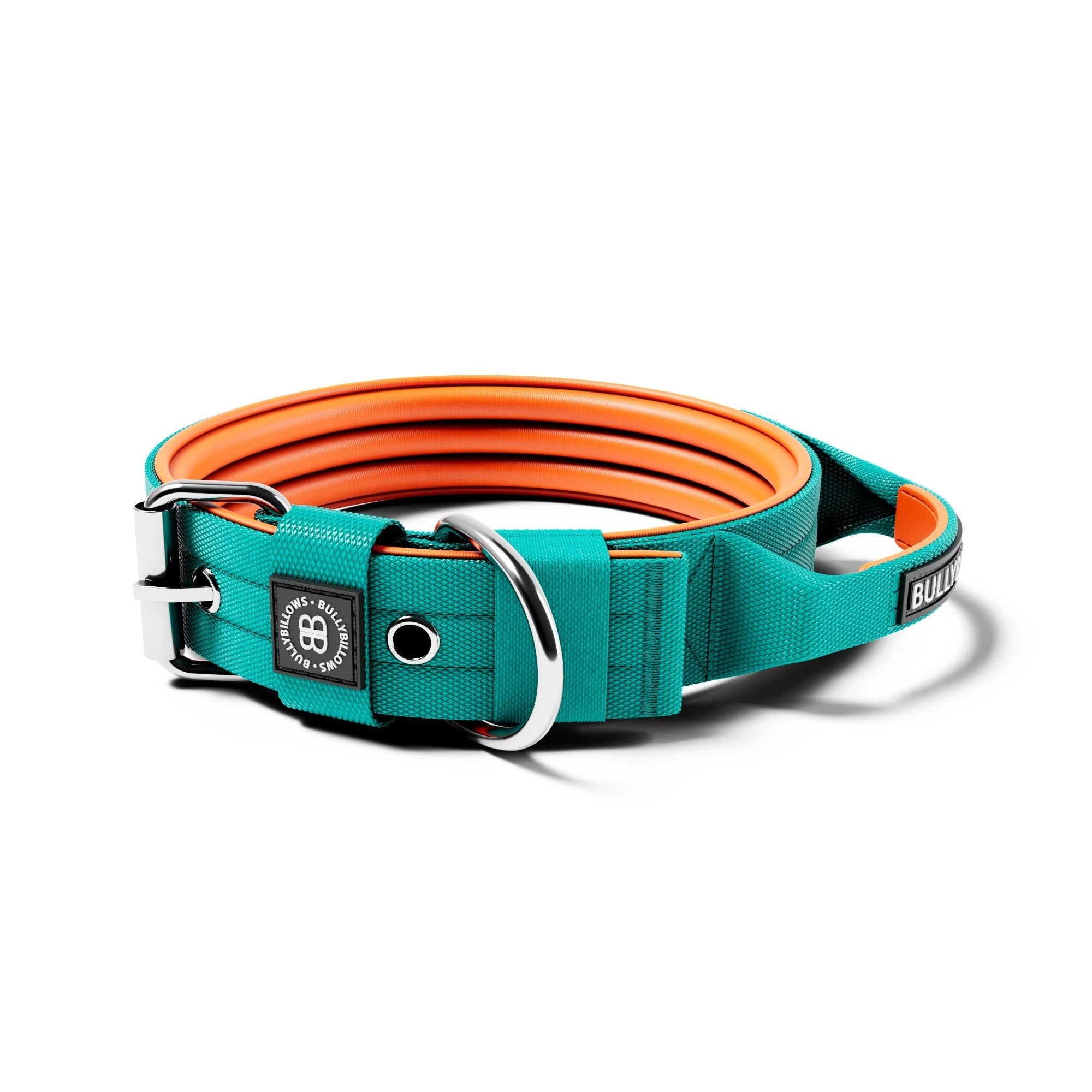 4cm Nylon Dog Collar | With Handle - Turquoise & Orange