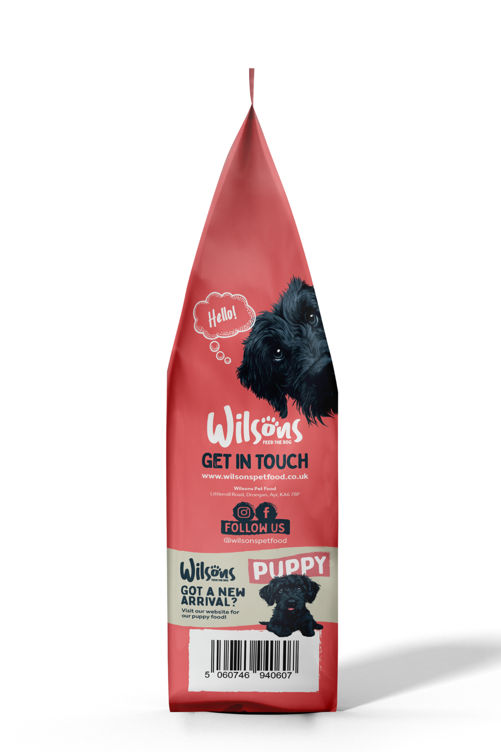 Salmon Premium British Cold Pressed Dog Food