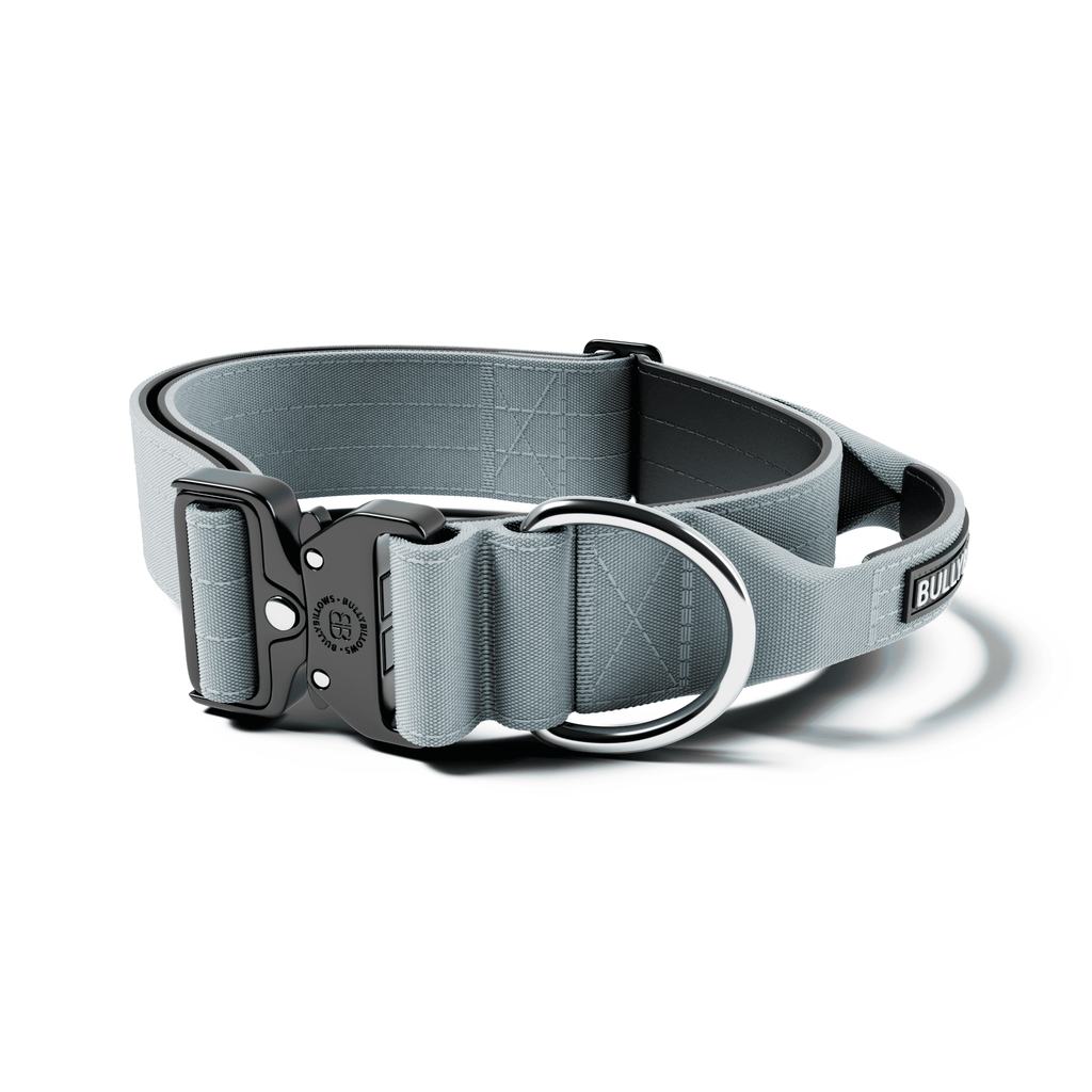 5cm Combat® Collar | With Handle & Secure Clip - Metal Grey