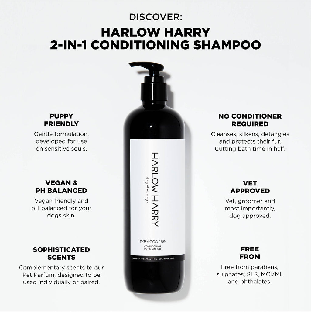 2-in-1 Conditioning Dog Shampoo | D'bacca 169