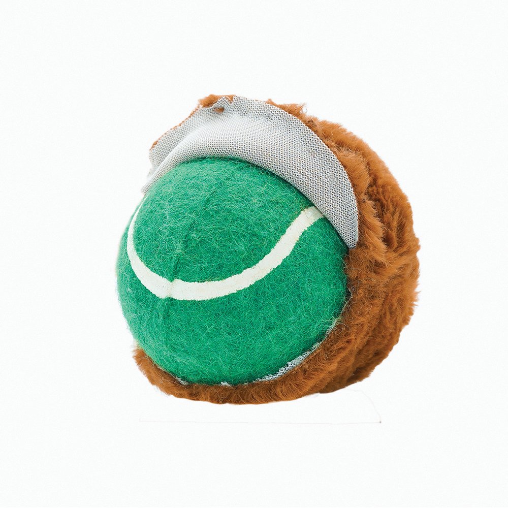 Super Ball Dog Toy