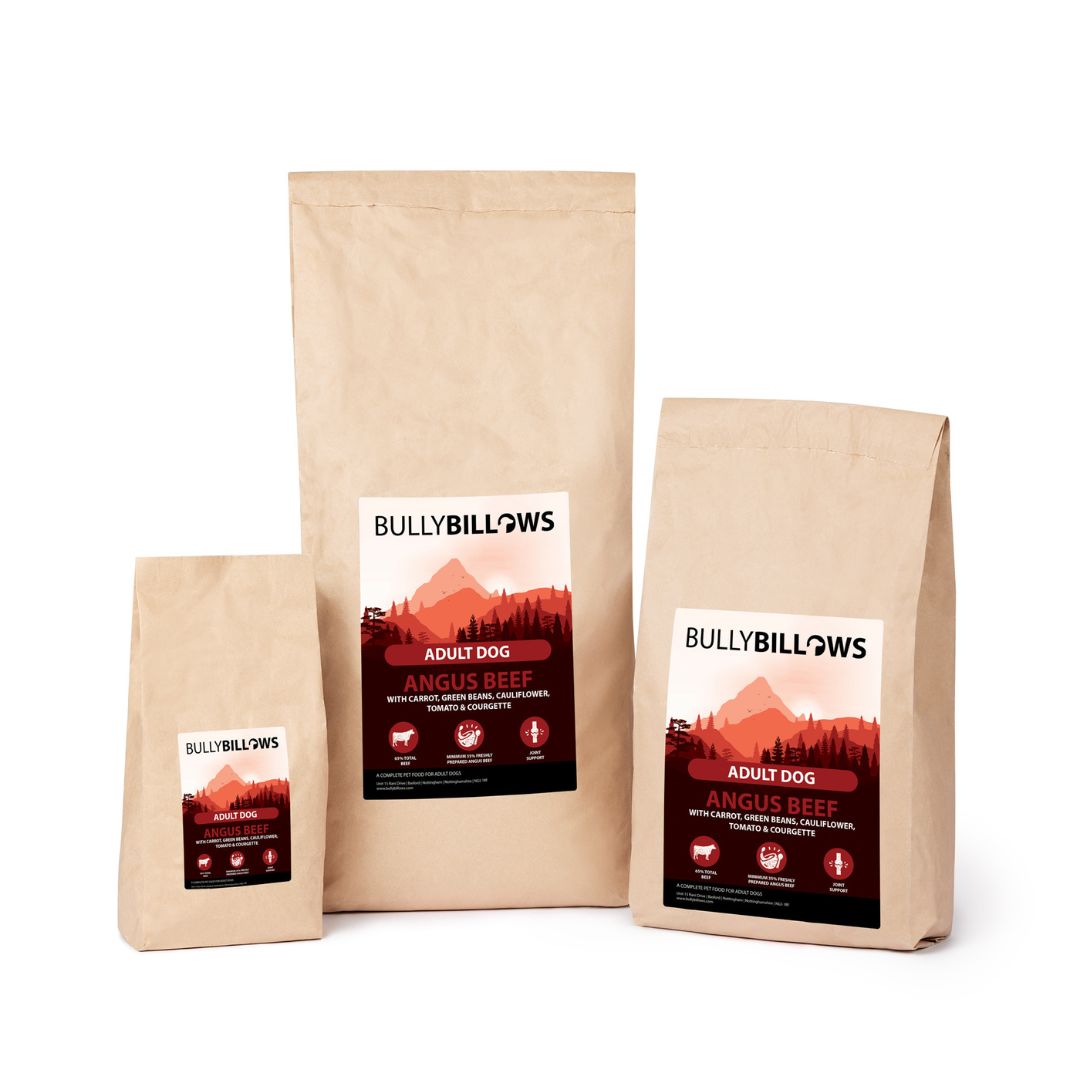 Angus Beef Dry Super Food - Adult