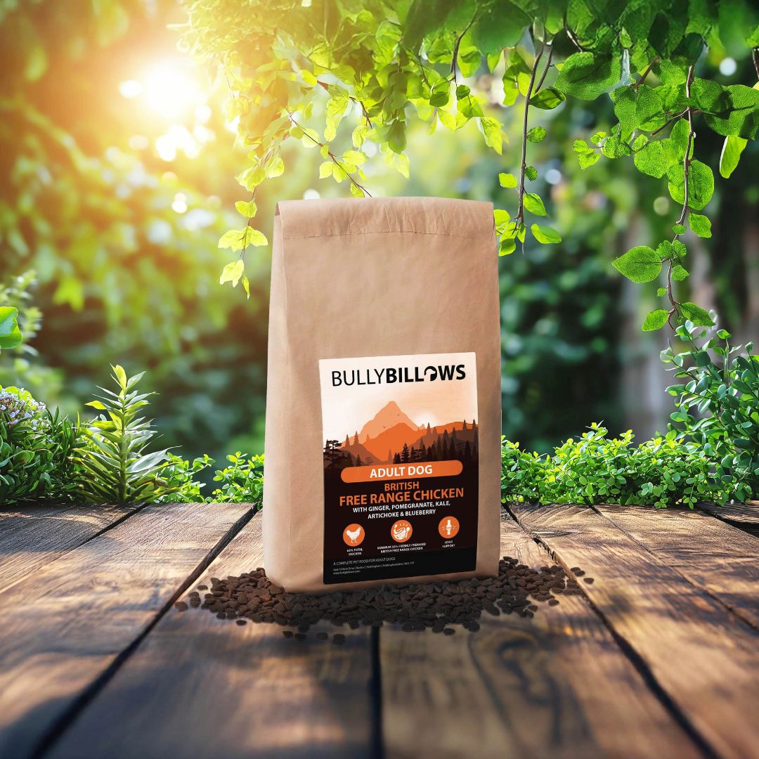 Free Range Chicken Dry Super Food - Adult