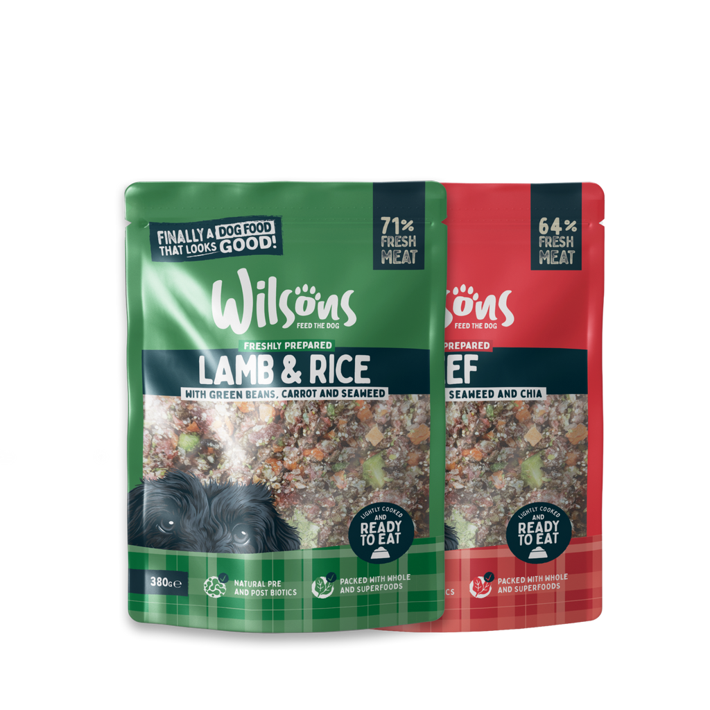 Fresh Dog Food Sample Box