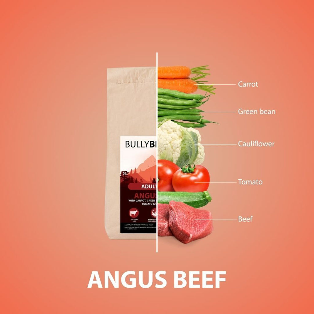 Angus Beef Dry Super Food - Puppy
