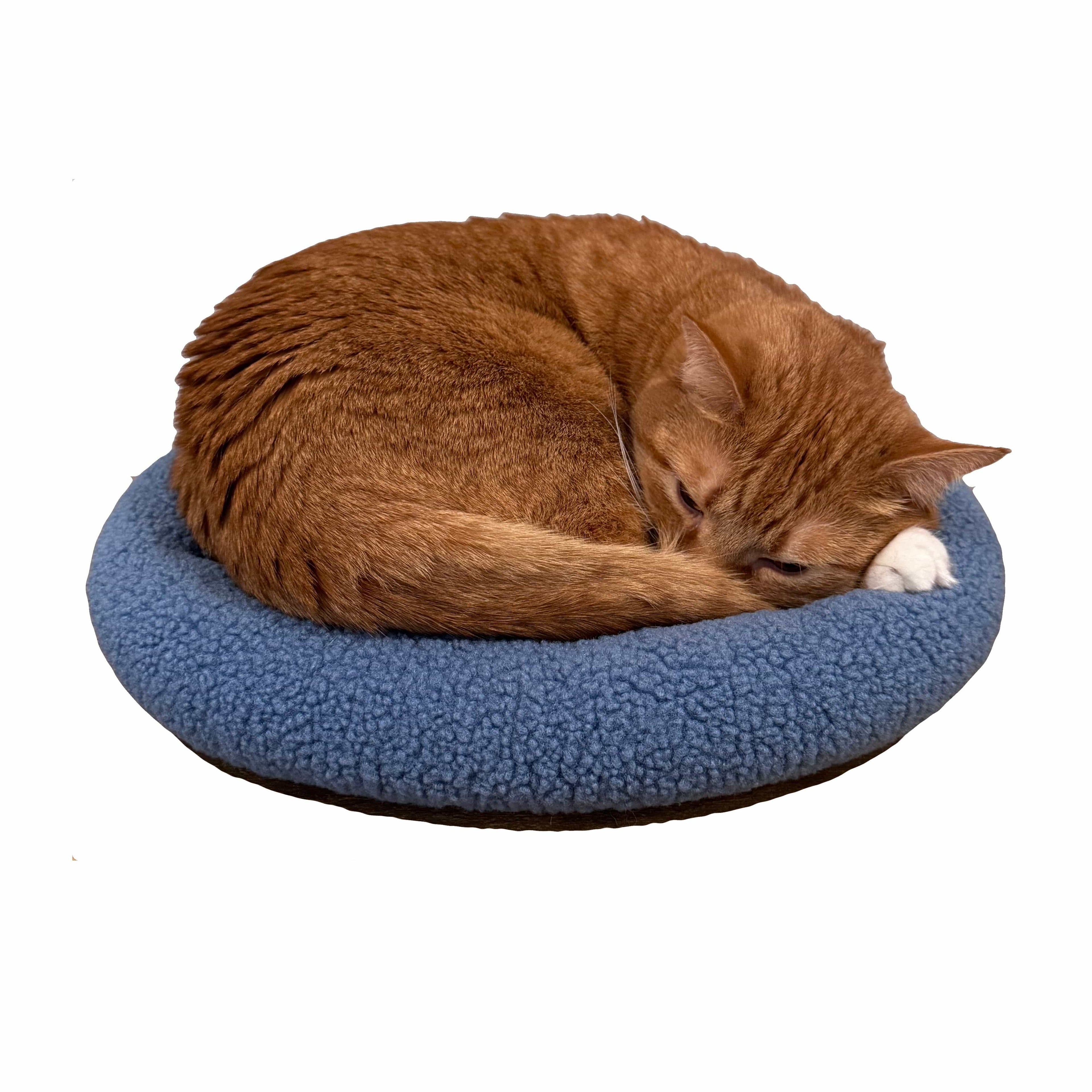 The Kitty Cushion Cat Backpack Bed