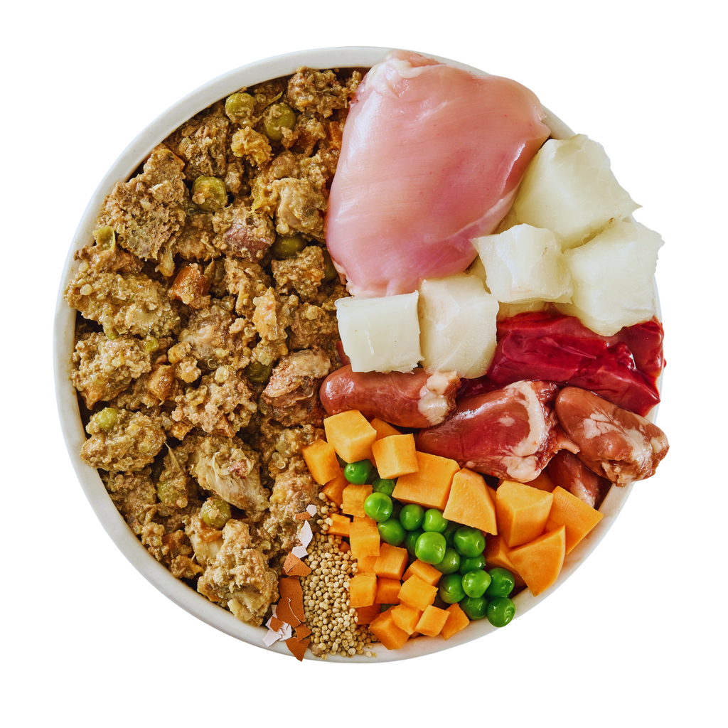 Puppy Mixed Bundle Fresh Dog Food