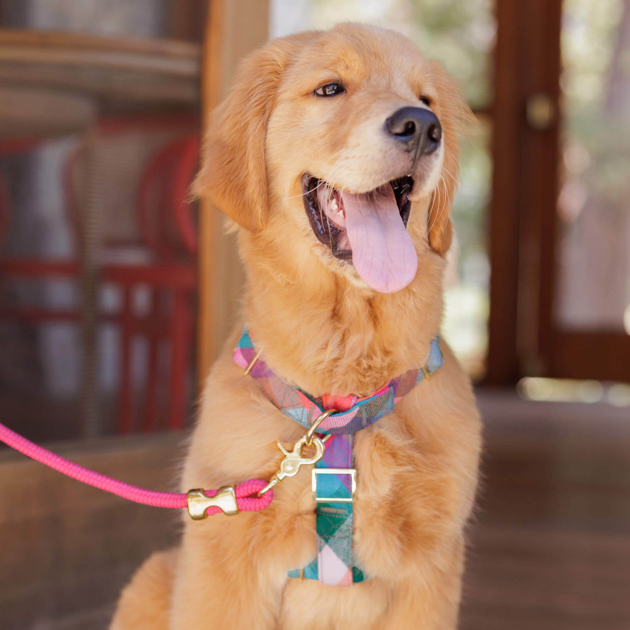 Hot Pink Marine Rope Dog Leash