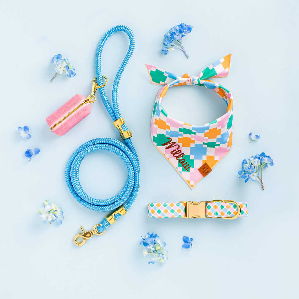 Powder Blue Marine Rope Dog Leash