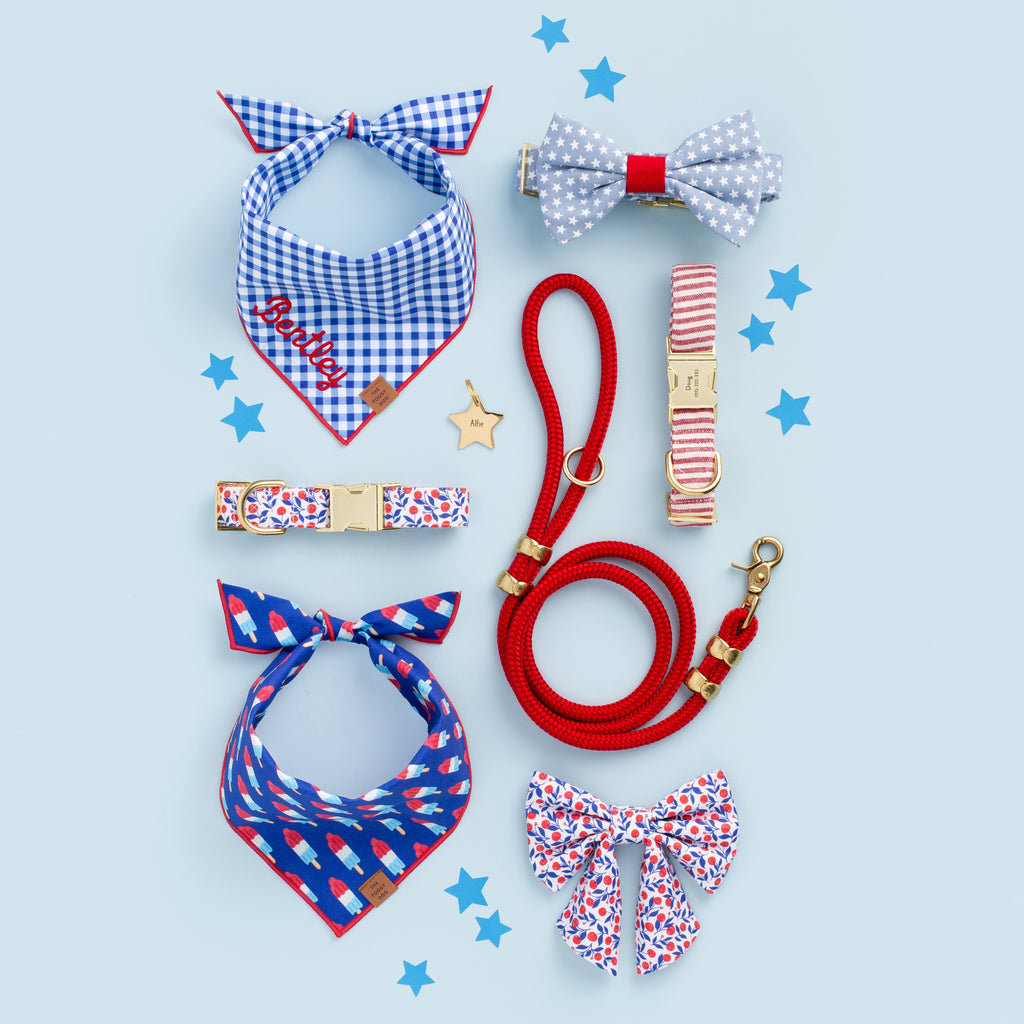 Ruby Marine Rope Dog Leash