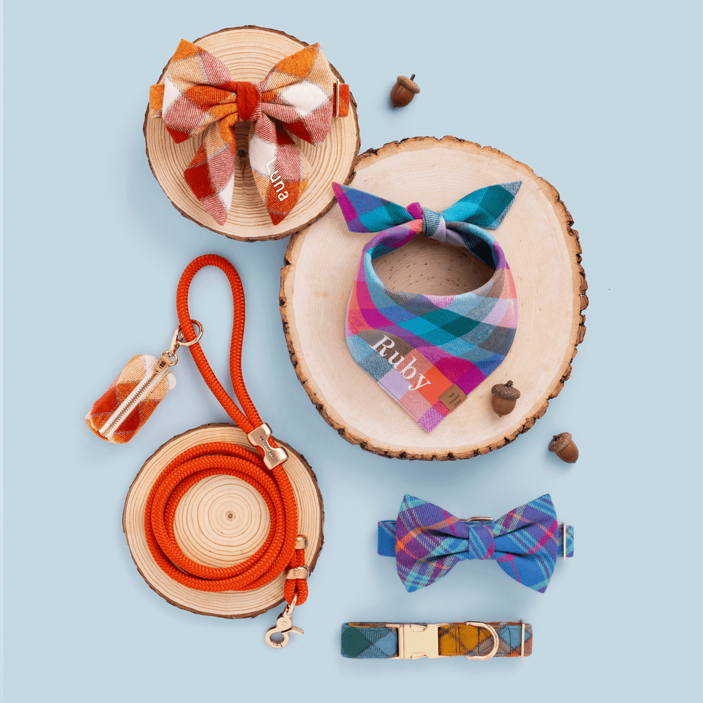 Cider Marine Rope Dog Leash