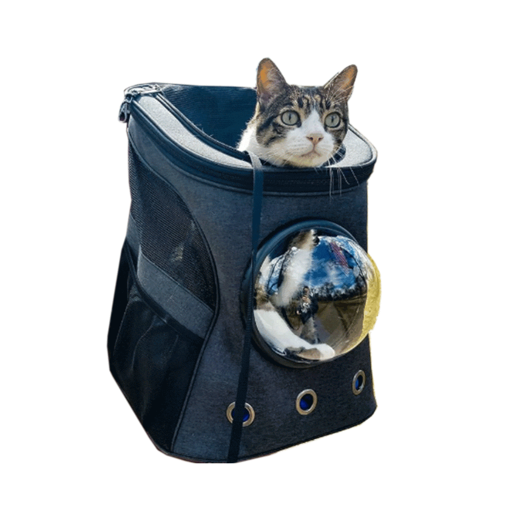 The Adventure Cat Essential Bundle: Cat Backpack. Harness. Leash. and Travel Bowl