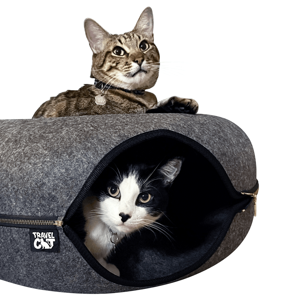 The Cozy AF Cat Bed Bundle