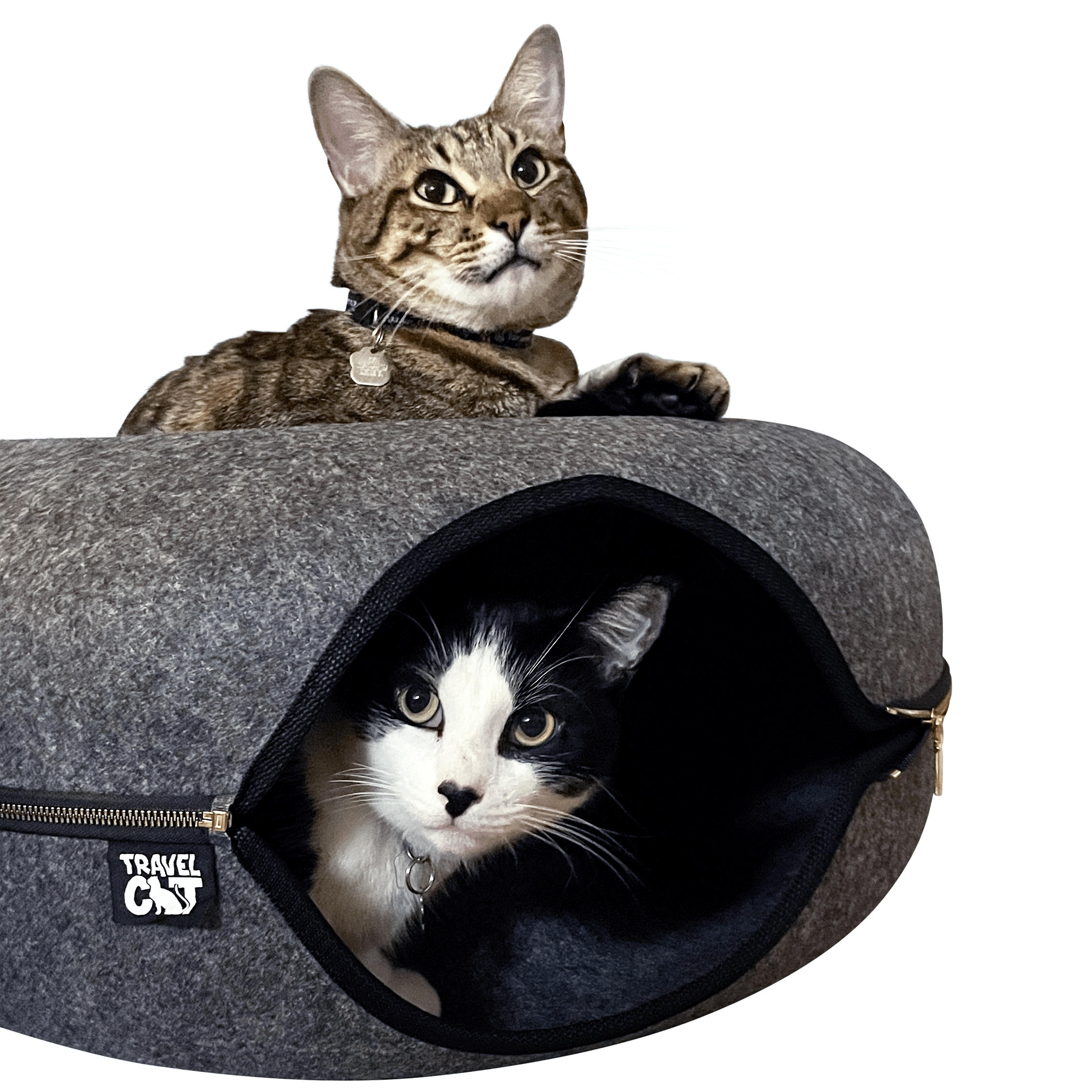 The Cozy AF Cat Bed Bundle