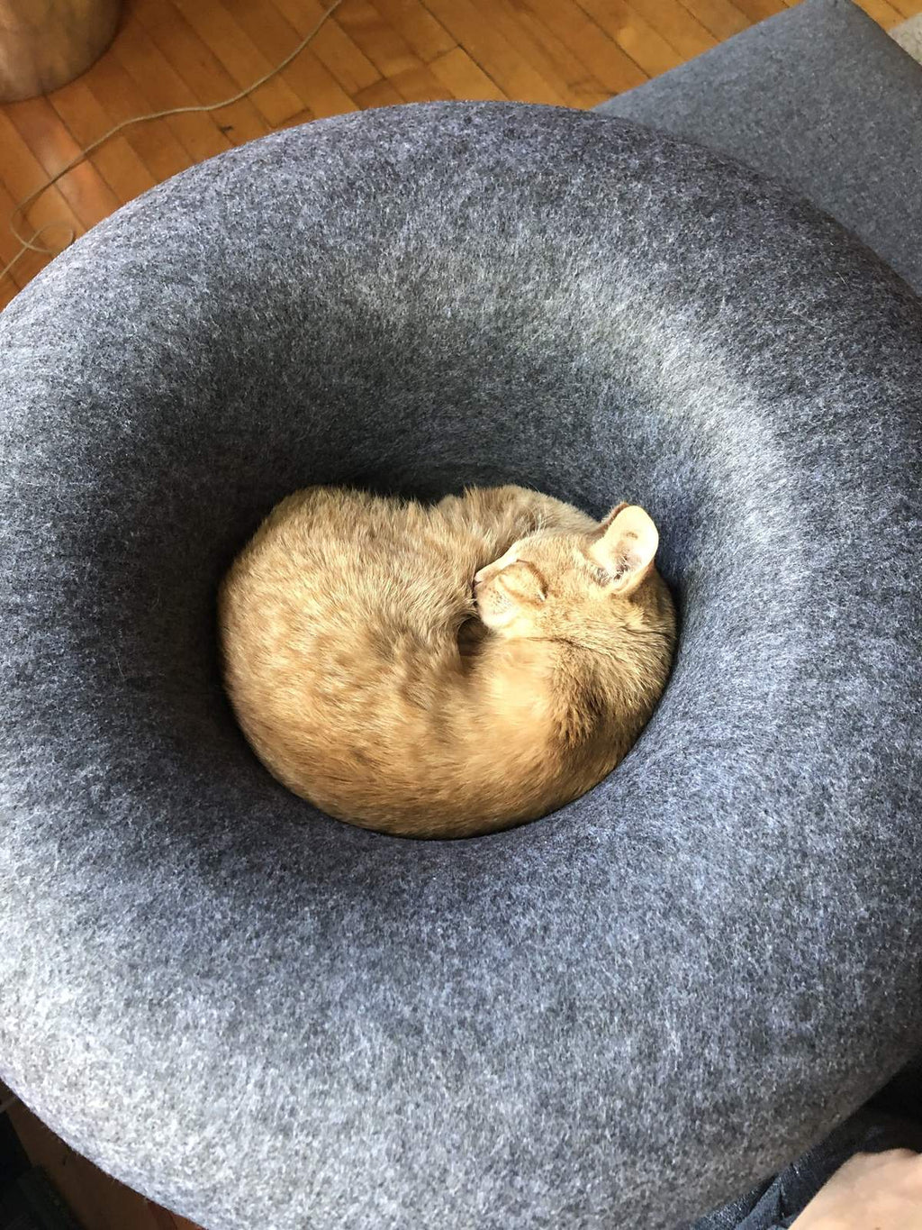 The Cozy AF Cat Bed Bundle