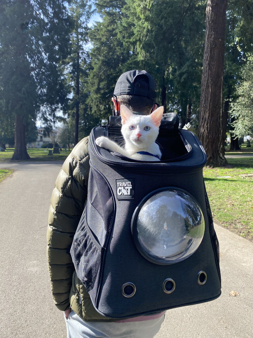 The Adventure Cat Essential Bundle: Cat Backpack. Harness. Leash. and Travel Bowl