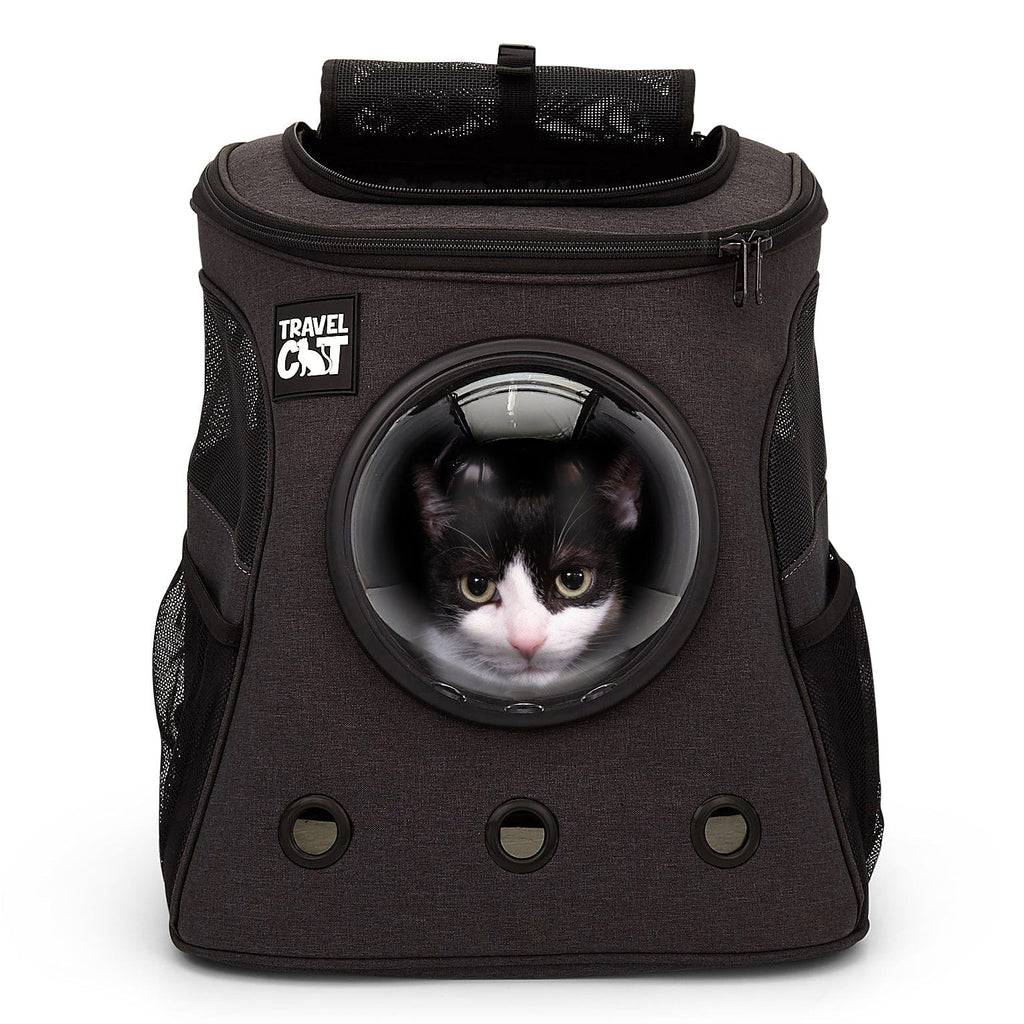 The Adventure Cat Essential Bundle: Cat Backpack. Harness. Leash. and Travel Bowl